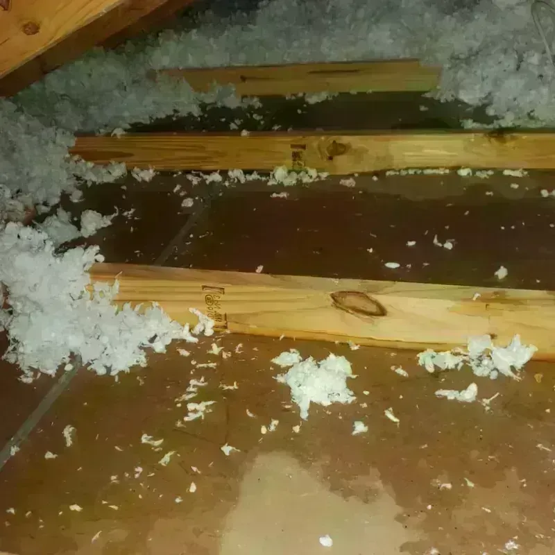 Attic Water Damage in Woodcreek, TX