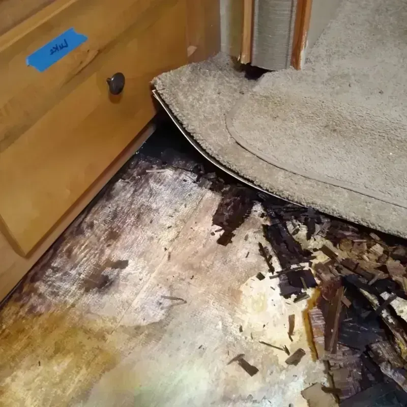 Wood Floor Water Damage in Woodcreek, TX